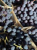 Fruit